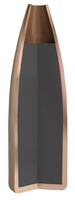 Nosler Varmageddon 22 40 gr/2,6 g FBHP 100 kpl
