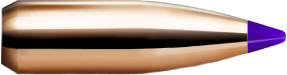 Nosler Ballistic Tip Varmint 6 mm/243 55 gr/3,6 g  100 kpl