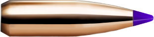 Nosler Ballistic Tip Varmint 6 mm/243 70 gr/4,5 g  100 kpl