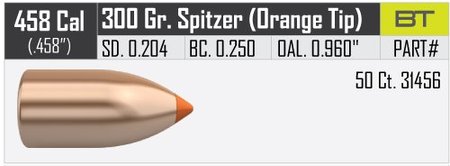 Nosler Ballistic Tip Hunting 458 300 gr/19,4 g 50 kpl