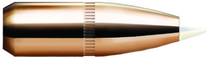 Nosler AccuBond 375 260 gr/16,9 g  50 kpl