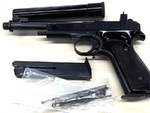 Pienoispistooli Margolin 22 LR, vaihtoase